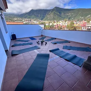  Affittacamere Canary Bio Tenerife Spagna